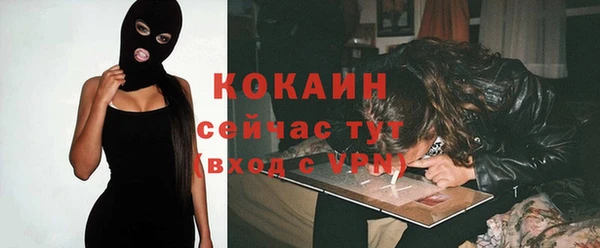 молекула духа Алексин