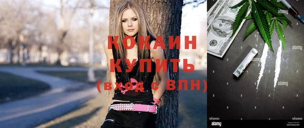 молекула духа Алексин